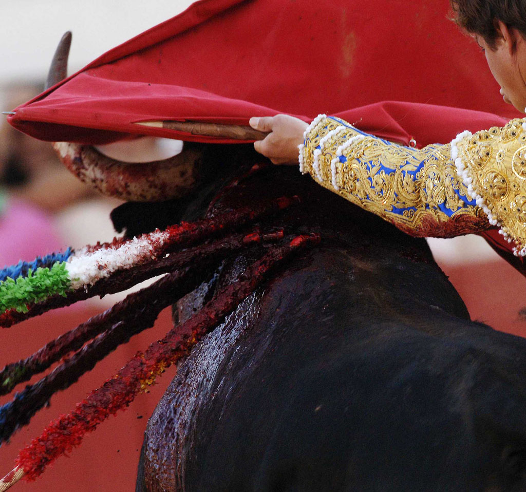 00/00/2007.Bloody details of Bullfighting.